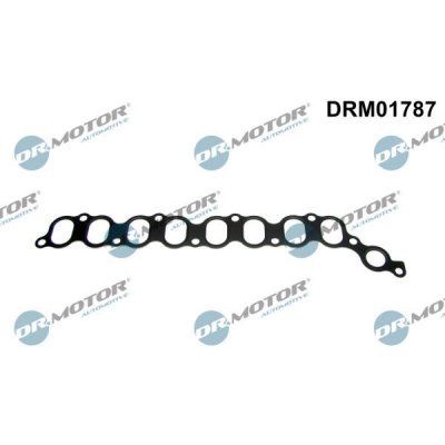 Dr.Motor Automotive DRM01787 – Hledejceny.cz