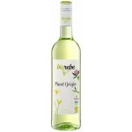 Biorebe Pinot Grigio 11% 0,75 l (holá láhev) – Hledejceny.cz