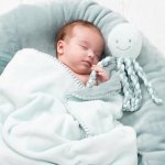 Nattou chobotnička Piu Piu Lapidou mint – Zbozi.Blesk.cz