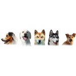 VetExpert Puppy Shampoo Šampon pro štěňata a koťata 250 ml – Sleviste.cz