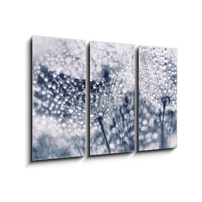 Obraz 3D třídílný - 105 x 70 cm - Plant seeds with water drops Semena rostlin s vodními kapkami
