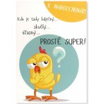 Albi Hrací přání K NAROZENINÁM ... PROSTĚ SUPER – Zboží Dáma
