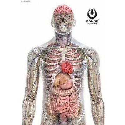 GFC Tactical Range Solutions Cvičný terč RS-Pegi18, 50 x 70 cm -10ks – Zboží Dáma