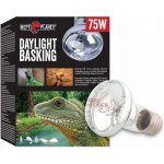 Repti Planet Daylight Basking Spot 75 W – Zboží Dáma