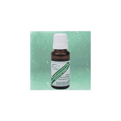 Hadek Romantické Vánoce 10 ml – Hledejceny.cz