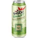 Big Shock! Smart Pineapple & Passionfruit 0,5 l – Sleviste.cz
