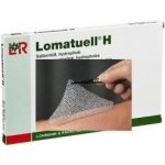 Lomatuell H Tyl mastný 10 x 30cm 10 ks – Hledejceny.cz