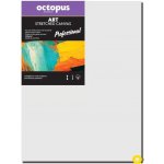 Octopus Professional malířské plátno 350 g 30 x 60 cm – Zboží Mobilmania
