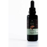 Serafin Reishi BIO tinktura z hub 30 ml – Hledejceny.cz