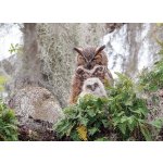 Cobble Hill Výr virginský 1000 dílků – Hledejceny.cz