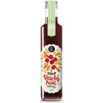 KOLDOKOL Veselý punč sirup 250 ml – Hledejceny.cz