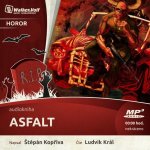 Asfalt - Štěpán Kopřiva – Zbozi.Blesk.cz
