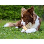 Marp Holistic Horská tyčinka XL 110 119 g SLEVA 30% polámaná – Sleviste.cz