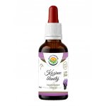 Salvia Paradise Kozinec blanitý AF tinktura 50 ml – Hledejceny.cz