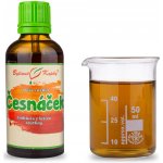 Bylinné kapky Duše rostlin Česnáček tinktura 50 ml – Hledejceny.cz