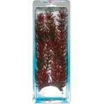 Tetra rostlina Red Foxtail Plus 30 cm – Hledejceny.cz