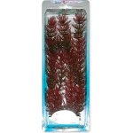 Tetra rostlina Red Foxtail Plus 30 cm – Zboží Mobilmania