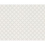 A.S. Création 528117 přetíratelné tapety na zeď Meistervlies Protect 4 rozměry 0,53 x 10,05 m – Zboží Dáma