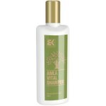 Brazil Keratin Amla Vital Shampoo 300 ml – Zboží Mobilmania