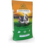 Energys Husa Repro Pro plemenné husy podporující vysokou plodnost 25 Kg – Sleviste.cz