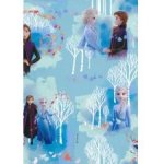 Flexio Balící papír Ledové království 2 x 0,70 m – Zboží Dáma
