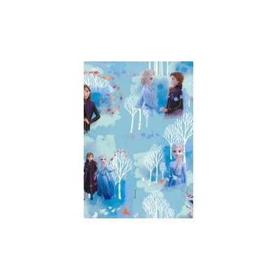 Flexio Balící papír Ledové království 2 x 0,70 m – Zboží Dáma