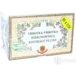 Herbex Vrbovka malokvětá bylinný čaj 20 x 3 g – Sleviste.cz