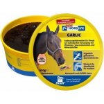 Horslyx Liz pro koně Garlic s příchutí česneku 650 g – Hledejceny.cz