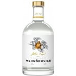 Anton Kaapl Meruňkovice 47% 0,7 l (holá láhev) – Zboží Mobilmania