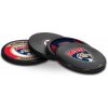 Hokejový puk Inglasco / Sherwood Florida Panthers NHL Coaster