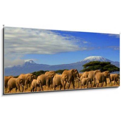 Obraz 1D panorama - 120 x 50 cm - Kilimanjaro And Elephants Kilimanjaro a sloni – Zbozi.Blesk.cz