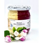 Včelařství Thomayer Duo med z Českého lesa 1 kg – Hledejceny.cz