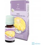Hanna Maria esenciální olej 7. čakra - relaxační duchovno 10 ml – Hledejceny.cz