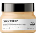 L'Oréal Expert Absolut Repair Gold Quinoa+Protein Golden Mask 250 ml – Zbozi.Blesk.cz