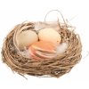 Hnízdo s vejci 7 cm
