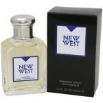 Aramis New West toaletní voda pánská 100 ml – Hledejceny.cz