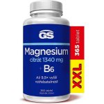 GS Magnesium citrát 1340 mg+B6 365 tablet – Hledejceny.cz