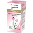 Arkokapsle Echinacea 45 kapslí