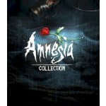 Amnesia Collection – Hledejceny.cz