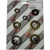 BEARING WORX sada těsnění motoru KAWASAKI KDX 200 95-06, KDX 220R 97-05 (822296)