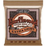 Ernie Ball 2150 – Zbozi.Blesk.cz