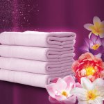 Silan Aviváž Dreamy Lotus 2,775 l – Zbozi.Blesk.cz