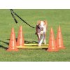 Výcvik psů TRIXIE Dog Activity překážky 30 x 50 cm 2ks + 100 cm tyč