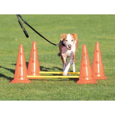 TRIXIE Dog Activity překážky 30 x 50 cm 2ks + 100 cm tyč – Zboží Mobilmania