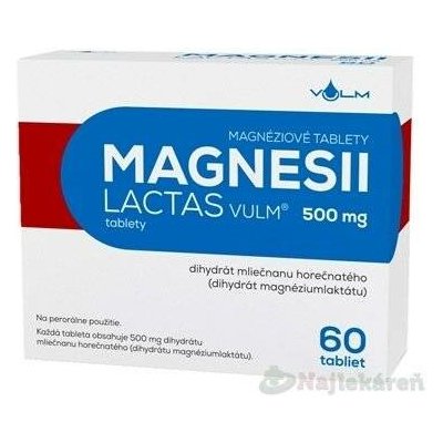 Vulm Magnesi Lactas Vulm 500 mg 60 ks – Hledejceny.cz