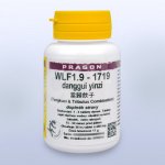 WLF1.9 - danggui yinzi - 36 tablet Pragon – Hledejceny.cz