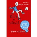 Kluk v sukních - David Walliams