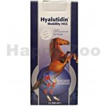Hyalutidin Mobility HCC 2 x 500 ml – HobbyKompas.cz