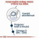 Royal Canin Maxi Adult 10 x 140 g – Zbozi.Blesk.cz