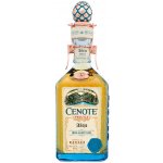 Cenote Anejo 40% 0,7 l (holá láhev) – Zboží Dáma